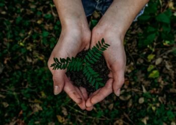 The Geopolitics of Global Food Security in 2026: Climate Shocks, Supply Chains, and International Cooperation
