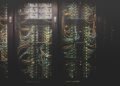 Large data centre building with environmental impact