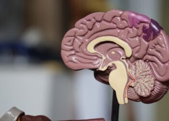 AI analyzing ECG for heart disease detection