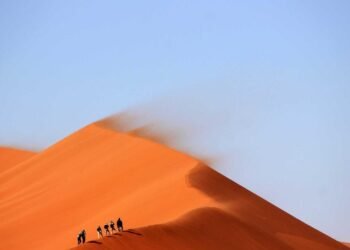 Digital nomad community working in a modern co-working space in 2026