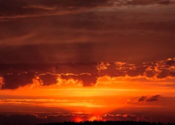 Is this the dawn of the Tokenpocalypse? — Photo by Danila Popov on Pexels