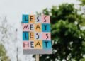 How AI Is Fighting Climate Change: From Carbon Capture to Smart Grids — Photo by www.kaboompics.com on Pexels