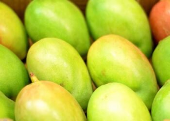 It’s hot IPO summer, and the MANGOS are ripe — Photo by Morris Lowery Jr on Pexels