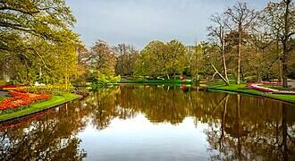 Top Day Trips from The Hague 2026: Explore the Netherlands Like a Local