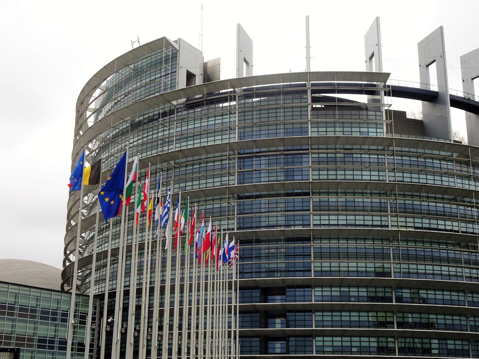 European Parliament flags in Strasbourg representing EU member states