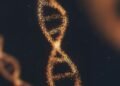 Laboratory equipment used for DNA synthesis research