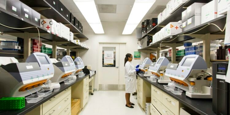 Scientist examining tissue samples under a microscope in a laboratory