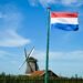 Large solar panel installation in Dutch countryside under bright sky representing Netherlands renewable energy