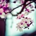 Remote work, AI displacement, and the four-day week in 2026