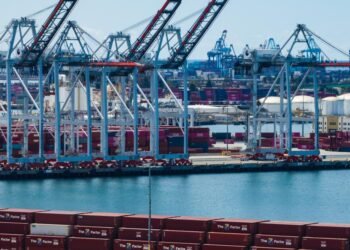 Port of Los Angeles container terminal with cargo ships representing global trade and tariff impacts on international commerce