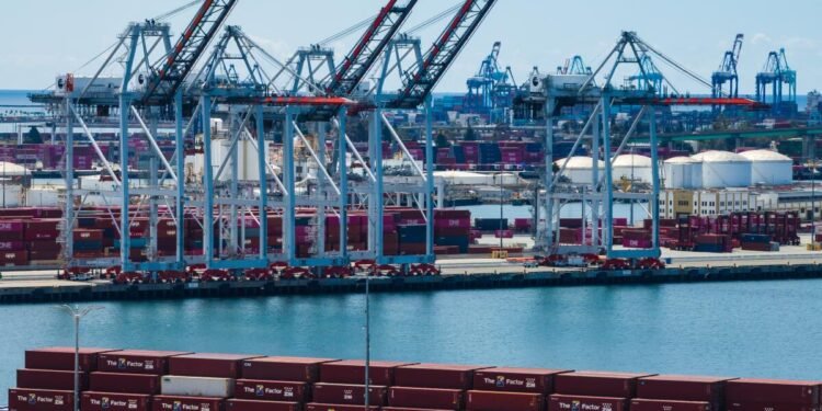 Port of Los Angeles container terminal with cargo ships representing global trade and tariff impacts on international commerce