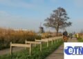 Dutch cycling infrastructure global gold standard
