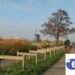 Dutch cycling infrastructure global gold standard