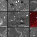 Asteroid Ryugu samples contain alien microbes but they are not what you think