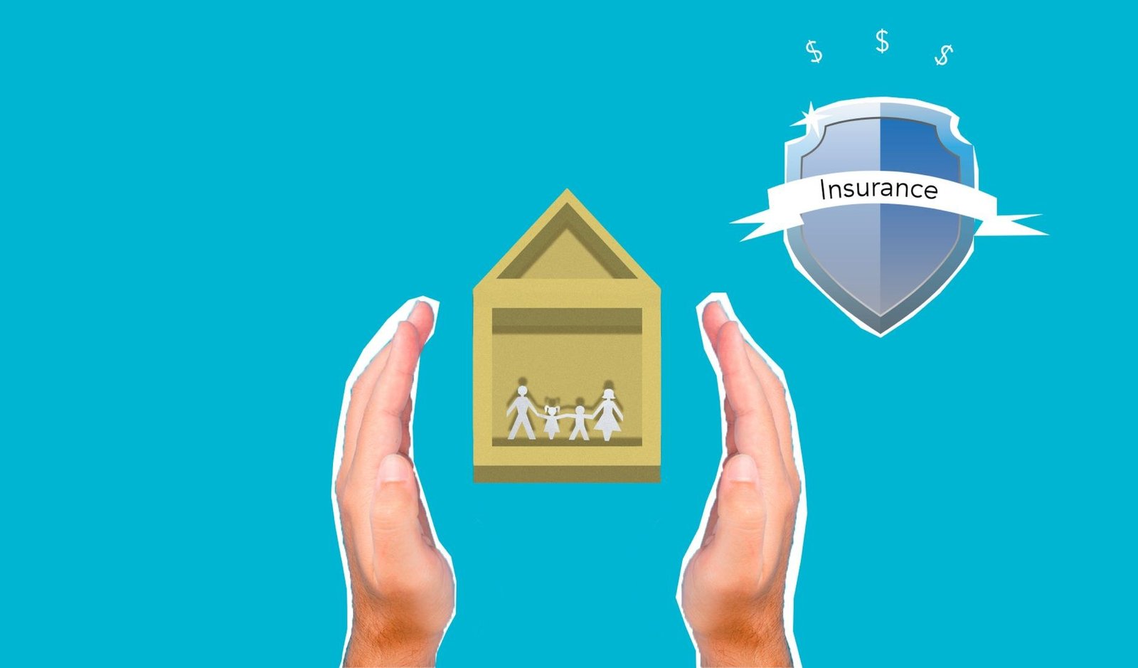 Aanvullend: optional additional insurance