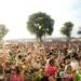 Crowd at an outdoor music festival with confetti on a sunny day