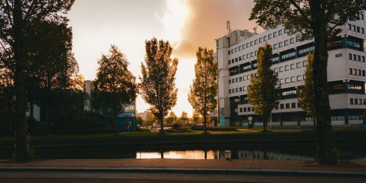 dutch tech today september