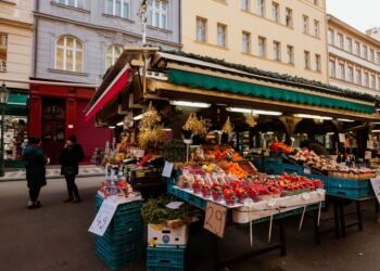 Haagse Markt Guide 2026: The Hague's Biggest Outdoor Market Like a Local