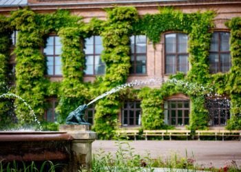 Hidden Courtyards of The Hague — Secret Alleys and Hofjes You Must Visit