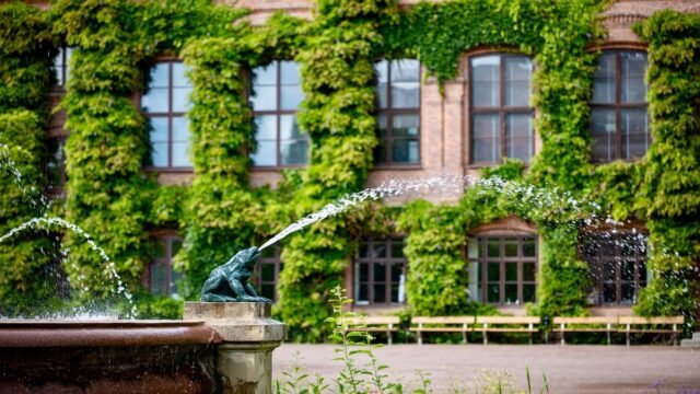 Hidden Courtyards of The Hague — Secret Alleys and Hofjes You Must Visit