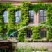 Hidden Courtyards of The Hague — Secret Alleys and Hofjes You Must Visit