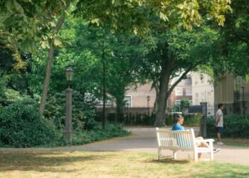 People relaxing on a bench in a park in The Hague