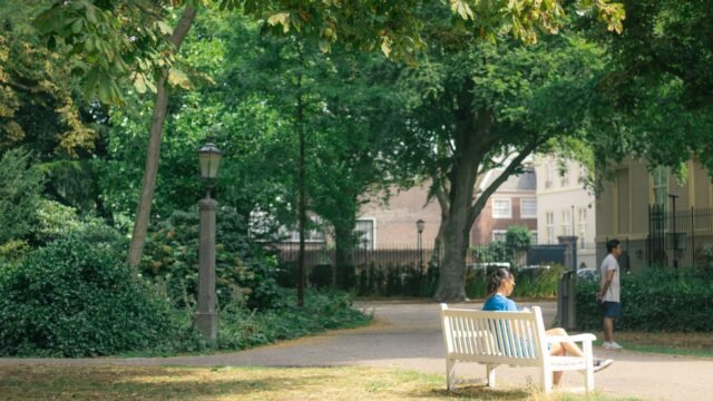 10 Free Things to Do in The Hague in Summer 2026