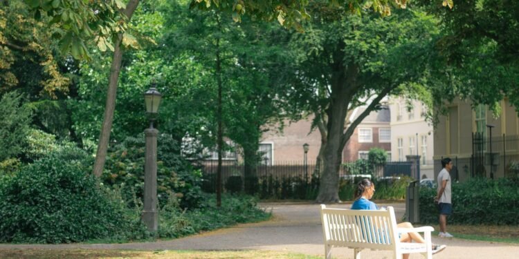 People relaxing on a bench in a park in The Hague