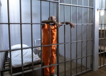Ashley Walters directs Animol, a youth prison drama drawn from his past