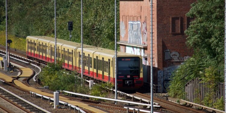 Berlin Ringbahn closures this week: where buses replace S-Bahn trains