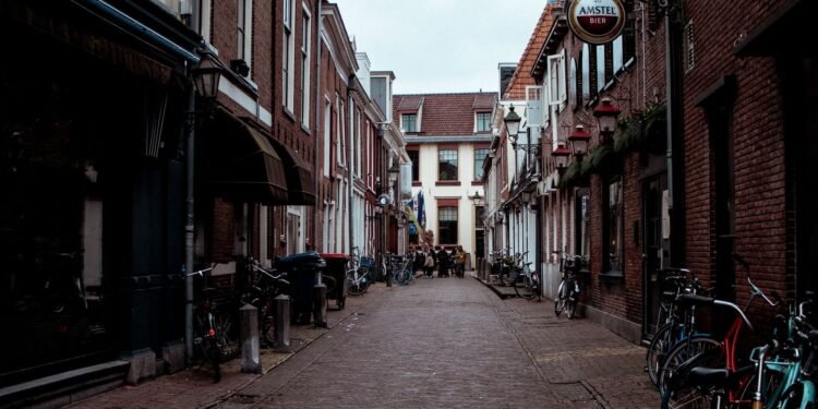 Bicycles on a Dutch street