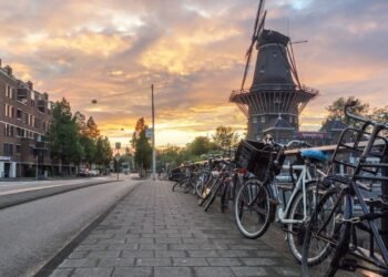Bicycles on a Dutch street