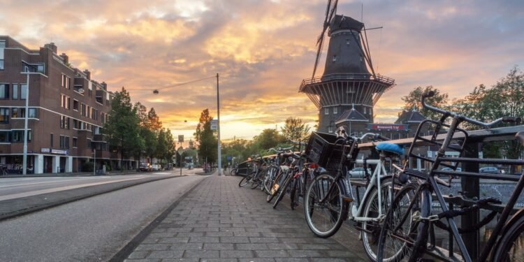 Bicycles on a Dutch street