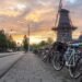 Bicycles on a Dutch street