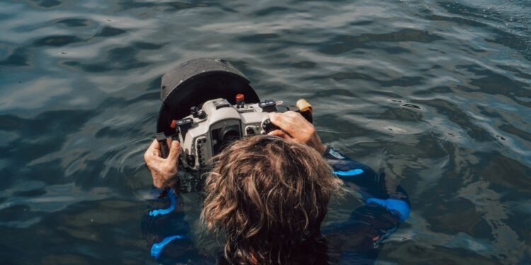 Blue Planet III uses murkier footage to prove it is not AI