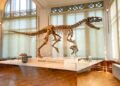 Deutsches Museum Munich: A Guide for New Residents