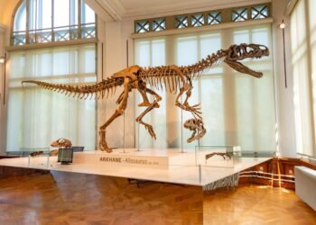 Deutsches Museum Munich: A Guide for New Residents