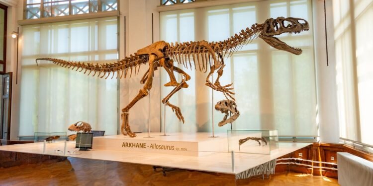 Deutsches Museum Munich: A Guide for New Residents