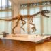 Deutsches Museum Munich: A Guide for New Residents