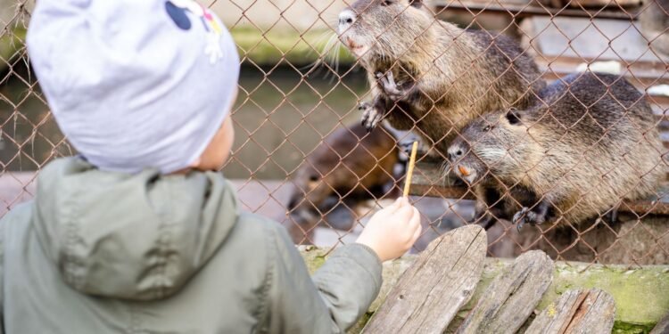 Diergaarde Blijdorp: Visiting Rotterdam Zoo with Kids