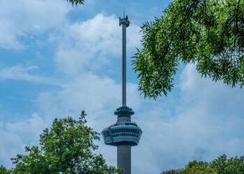 Euromast and a Spido Harbour Cruise: Rotterdam Heights for Families