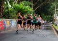 Frankfurt Marathon 2026: road closures and transport on 25 October