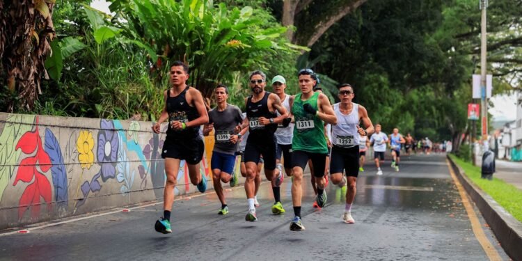 Frankfurt Marathon 2026: road closures and transport on 25 October