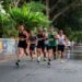 Frankfurt Marathon 2026: road closures and transport on 25 October