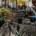House Sharing and Subletting Rules in Utrecht