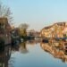 Houses on a Dutch residential street