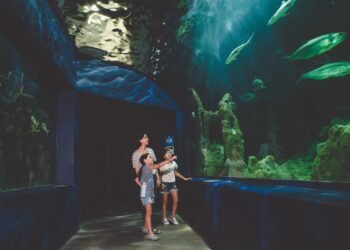LEGOLAND Discovery Centre and SEA LIFE Manchester: Rainy-Day Options