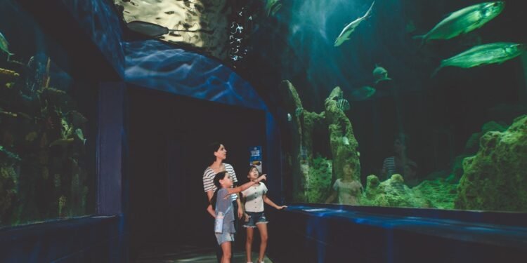 LEGOLAND Discovery Centre and SEA LIFE Manchester: Rainy-Day Options