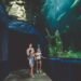LEGOLAND Discovery Centre and SEA LIFE Manchester: Rainy-Day Options