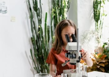 Micropia, Groote Museum and Rijksmuseum Family Trails in Amsterdam
